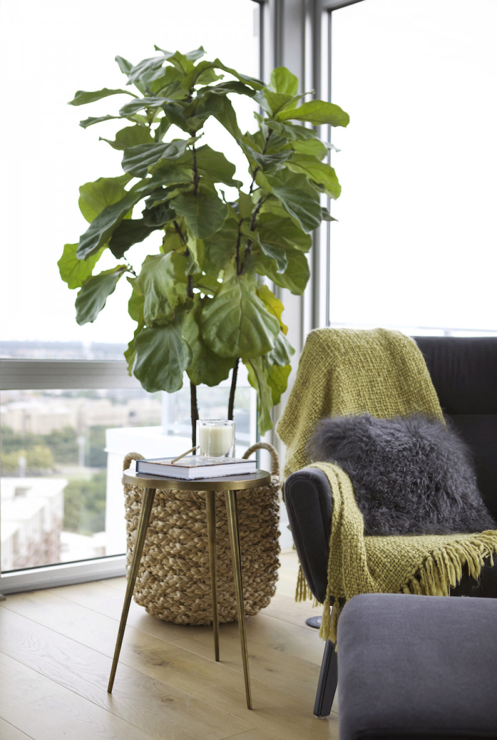 bedroom-accent-chair-small-table-fiddle-leaf-fig-indoor-plant