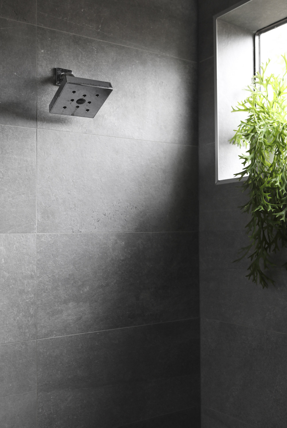 dark-gray-tile-shower-natural-light-plant-window-sill