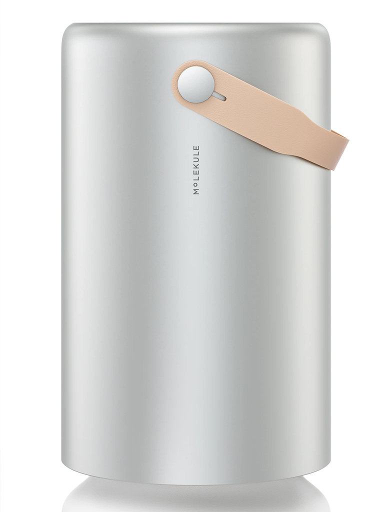 Bid Air Purification Molekule